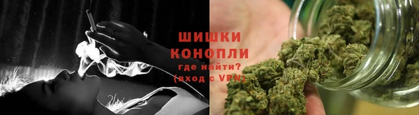 МДПВ Вяземский