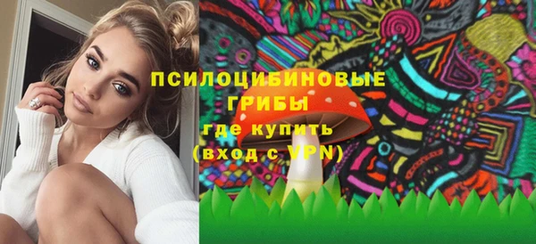 стаф Верея