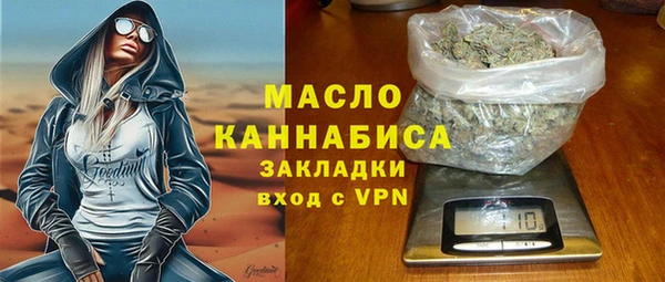 спиды Ельня