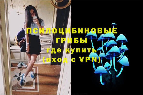 трава Вязьма