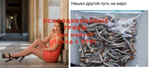 трава Вязьма